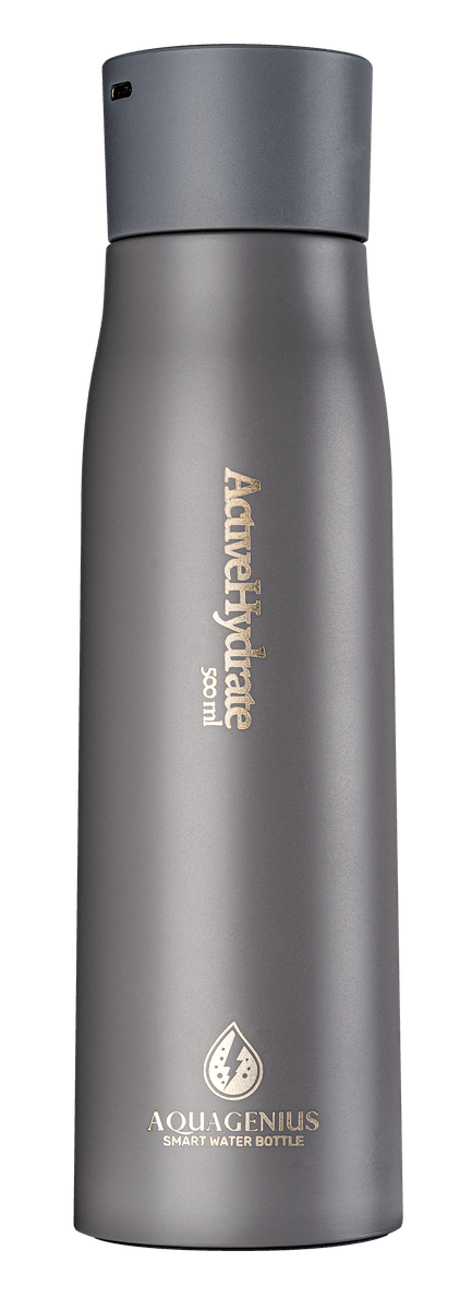 ActiveHydrate 500ml — Gris
